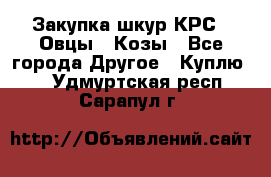 Закупка шкур КРС , Овцы , Козы - Все города Другое » Куплю   . Удмуртская респ.,Сарапул г.